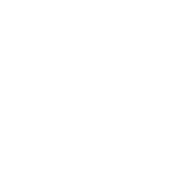 AZ Revolution Window Tint